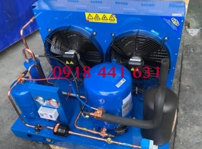 CỤM MÁY DANFOSS ( PHÁP )