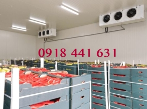 KHO LẠNH BẢO QUẢN NÔNG SẢN
