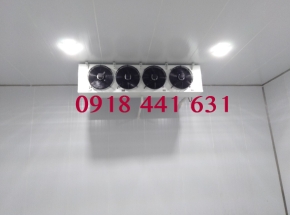 DÀN LẠNH CẤP ĐÔNG - 45 ĐộC