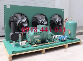 CỤM MÁY BITZER ( ĐỨC ) 3HP - 50HP