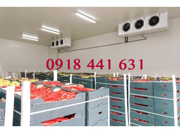 KHO LẠNH BẢO QUẢN NÔNG SẢN